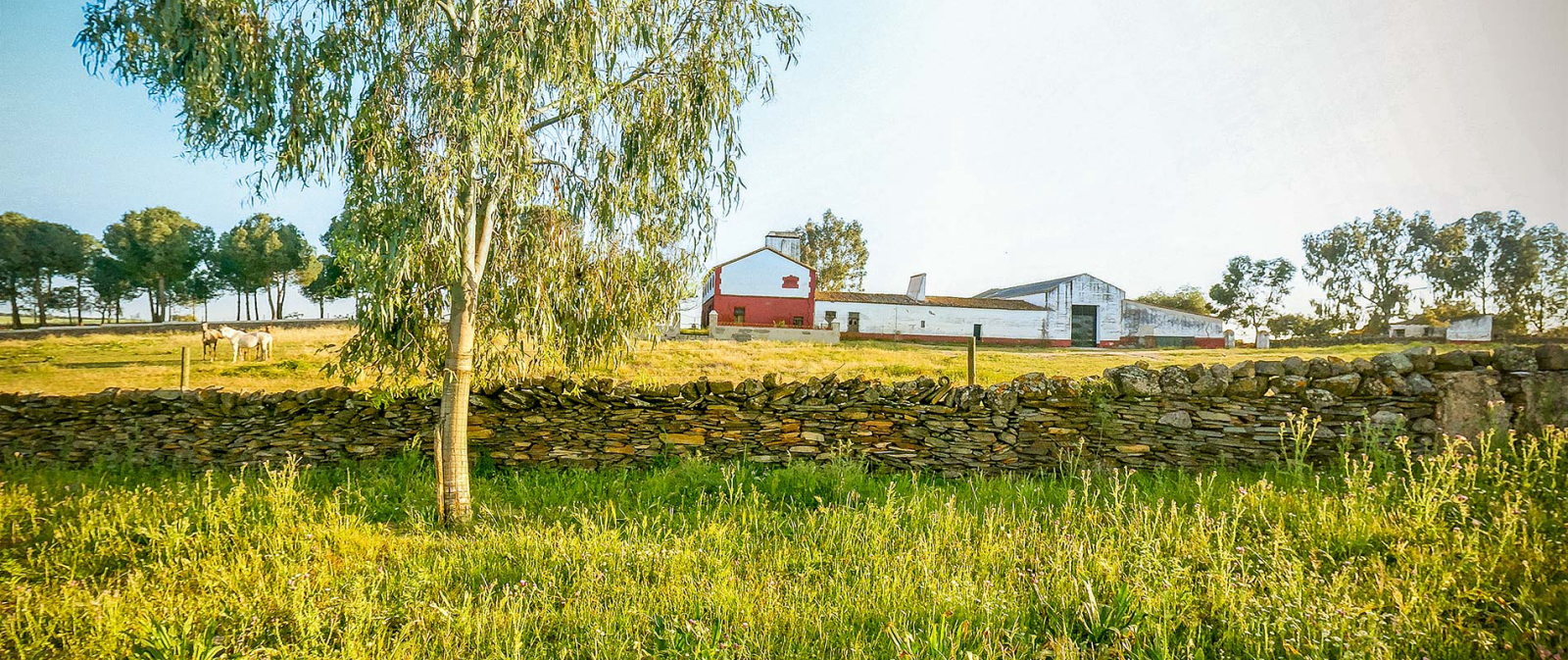 Cortijo Alcachofal