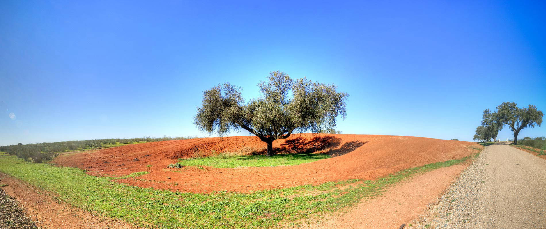 Cortijo Guapero Sur